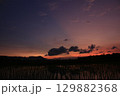 Colorful sunset with glowing clouds and reflections on a wet rice field. Silhouetted trees and mountains add depth to this peaceful rural landscape. 129882368
