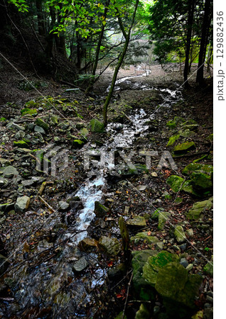 御坂山地の三方分山にて　精進川 129882436