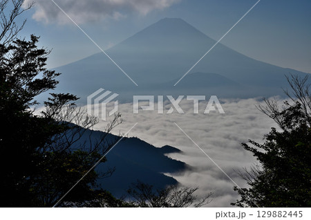 御坂山地の三方分山山頂より　霧の精進湖に聳える富士山 129882445