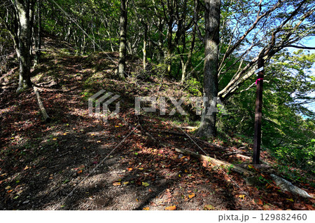 御坂山地の精進峠　山梨ハイキングコース100選 129882460