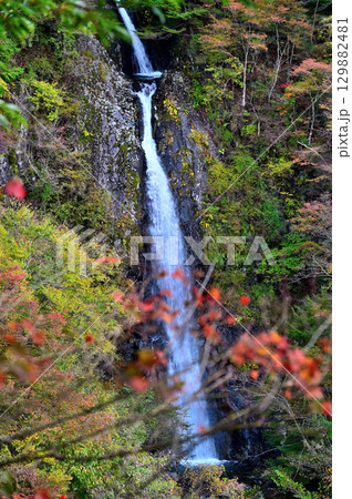 天子山地の毛無山 毛無山ルート 不動の滝見晴台から眺める紅葉纏う不動ノ滝 天子山地の毛無山 毛無山ルート 不動の滝見晴台から眺める紅葉纏う不動ノ滝 129882481