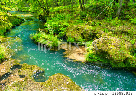栃木県日光市　奥日光の戦場ヶ原を流れる湯川 129882918