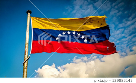 破けて朽ちた古いベネズエラの国旗。 129883145