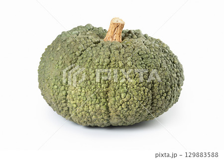 Buen Gusto de Horno Pumpkin Isolated on White Buen Gusto de Horno Pumpkin Isolated on White 129883588