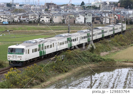 川越線を走る回送列車 185系 B5編成 129883764