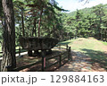高敞の支石墓 129884163