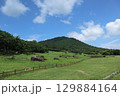 高敞の支石墓 129884164