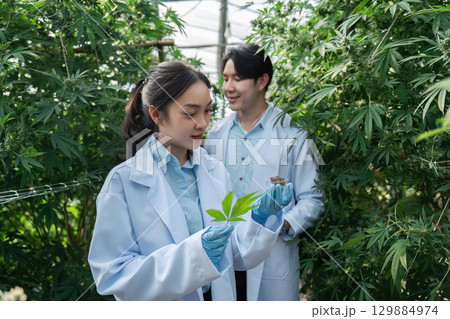 Agricultural Scientists Analyzing Plant Samples in a Modern Greenhouse Environment for Sustainable Farming Research 129884974