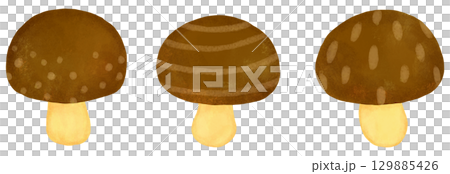 棕色蘑菇插圖集，小 129885426
