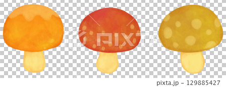 Small mushroom illustration set: orange, red, and yellow Small mushroom illustration set: orange, red, and yellow 129885427