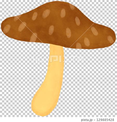 Large brown umbrella mushroom illustration Large brown umbrella mushroom illustration 129885428