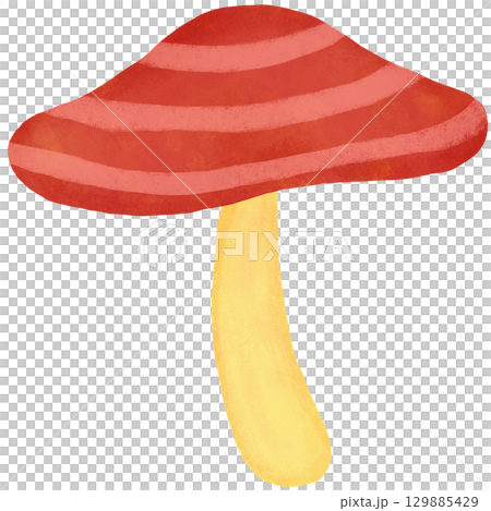Large striped umbrella mushroom illustration Large striped umbrella mushroom illustration 129885429