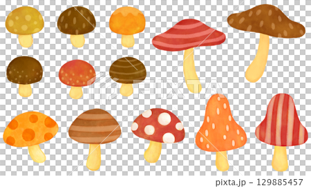 模様の入ったキノコのイラストセット 模様の入ったキノコのイラストセット 129885457