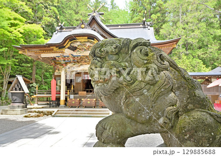 秩父散歩・宝登山神社　本殿と狛犬 129885688