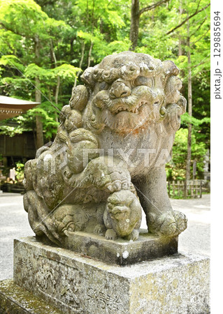 秩父散歩・宝登山神社　狛犬 129885694