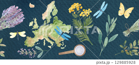 Map of Europe, botanical elements, dragonflies, butterfly seamless border on blue. Lavender, sage, blueberry, tansy. Ideal for herbal medicine, organic packaging, travel, or educational projects 129885928