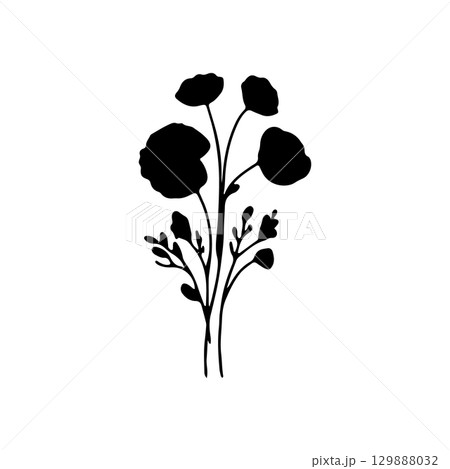Silhouette of blooming poppy flowers with delicate stems and leaves against a light background 129888032