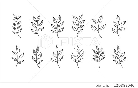 Leaf illustrations showcasing various plant designs on a minimalist white background created for artistic inspiration 129888046