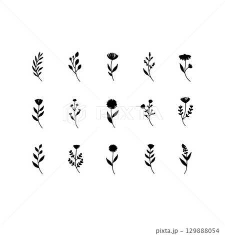 Delicate Line Botanicals. Fine-line botanical illustrations with small leaves and rounded blossoms for elegant natural compositions. 129888054