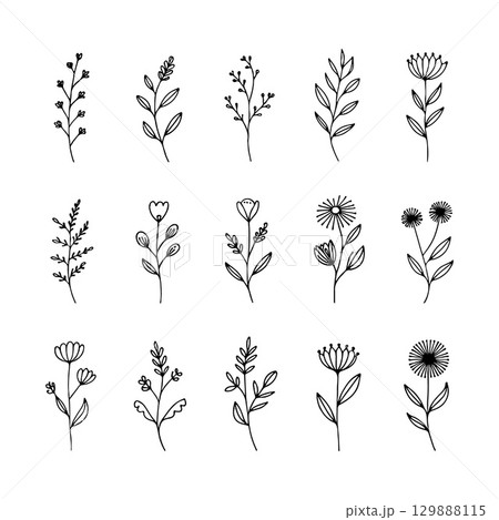 Simplified Botanical Sprigs. Simplified floral sprigs with oval petals and minimal hand-drawn elegance in black and white. 129888115
