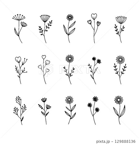 Simplified Botanical Sprigs. Simplified floral sprigs with oval petals and minimal hand-drawn elegance in black and white. Simplified Botanical Sprigs. Simplified floral sprigs with oval petals and minimal hand-drawn elegance in black and white. 129888136