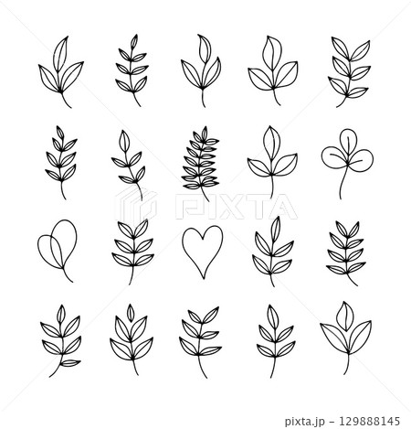 Various hand-drawn leaf designs arranged in a grid pattern for botanical illustration 129888145