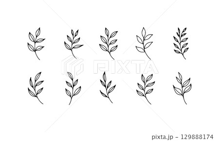 Various leaf illustrations showcasing different shapes and arrangements suitable for botanical designs or art projects 129888174