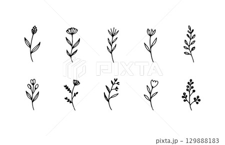 Simplified Botanical Sprigs. Simplified floral sprigs with oval petals and minimal hand-drawn elegance in black and white. Simplified Botanical Sprigs. Simplified floral sprigs with oval petals and minimal hand-drawn elegance in black and white. 129888183