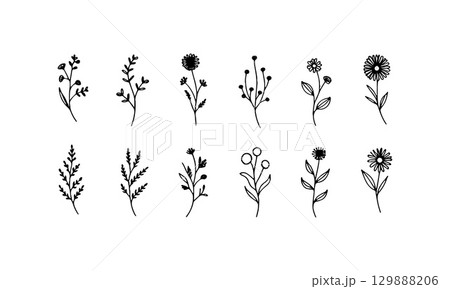 Simplified Botanical Sprigs. Simplified floral sprigs with oval petals and minimal hand-drawn elegance in black and white. Simplified Botanical Sprigs. Simplified floral sprigs with oval petals and minimal hand-drawn elegance in black and white. 129888206