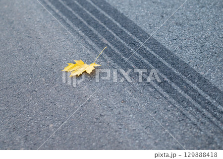 Braking car trace with yellow maple leaf on the road. Emergency braking at autumn season, dangerous slippery road during fall rains Braking car trace with yellow maple leaf on the road. Emergency braking at autumn season, dangerous slippery road during fall rains 129888418