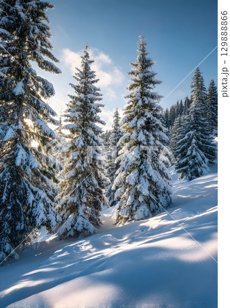 winter landscape with snow covered pine trees...のイラスト素材 [129888866] - PIXTA