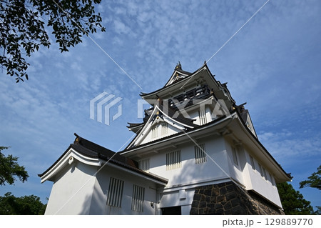 夏の朝の横手城　秋田 129889770