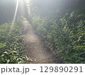 山の道 129890291