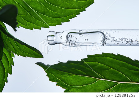 A pipette with serum in mint leaves. 129891258