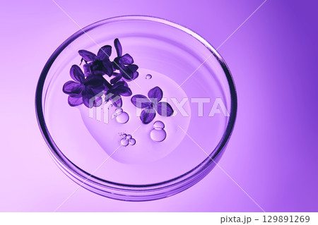 A drop of serum with bubbles and purple flowers in a petri dish. 129891269