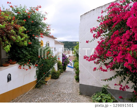 オビドスの美しい町並み　白壁の住宅と花　（ポルトガル） 129891501