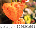 夏のお盆のイメージの鬼灯 129891691