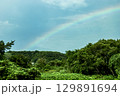 森に架かる綺麗な虹 129891694