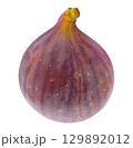 One fresh fig fruit isolated on white background 129892012