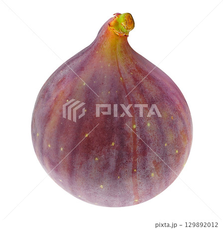 One fresh fig fruit isolated on white background One fresh fig fruit isolated on white background 129892012