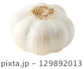One isolated head of garlic 129892013