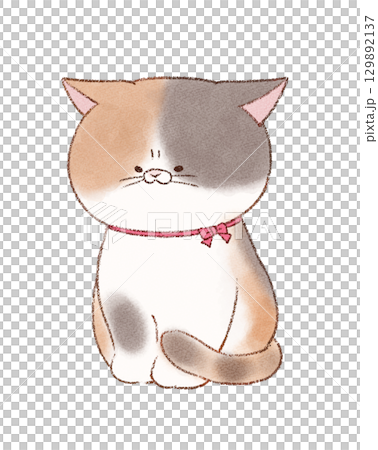 脾氣暴躁的三色貓 129892137