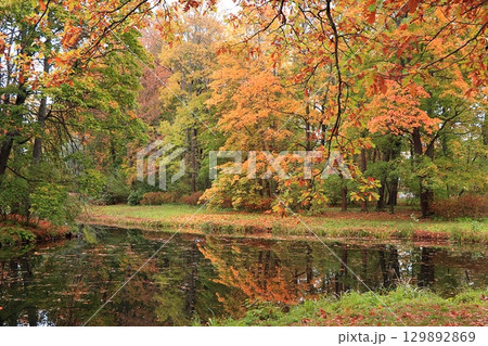 October autumn park in Russia, lake with red leaves and reflection in the lake, Aleksandrovsky park, Tsarskoe Selo, Leningrad region. Autumn landscape, seasons. October autumn park in Russia, lake with red leaves and reflection in the lake, Aleksandrovsky park, Tsarskoe Selo, Leningrad region. Autumn landscape, seasons. 129892869
