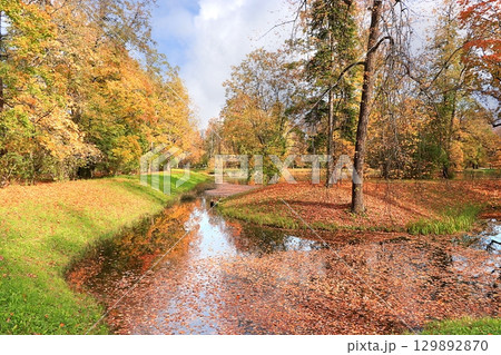 October autumn park in Russia, lake with red leaves and reflection in the lake, Aleksandrovsky park, Tsarskoe Selo, Leningrad region. Autumn landscape, seasons. October autumn park in Russia, lake with red leaves and reflection in the lake, Aleksandrovsky park, Tsarskoe Selo, Leningrad region. Autumn landscape, seasons. 129892870