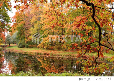 October autumn park in Russia, lake with red leaves and reflection in the lake, Aleksandrovsky park, Tsarskoe Selo, Leningrad region. Autumn landscape, seasons. October autumn park in Russia, lake with red leaves and reflection in the lake, Aleksandrovsky park, Tsarskoe Selo, Leningrad region. Autumn landscape, seasons. 129892871