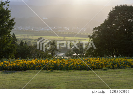 夏の終わりのノスタルジック風景 129892995