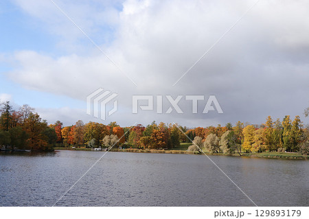 October autumn park in Russia, trees with yellow leaves and reflection in the lake, Catherine Park, Leningrad region. Beautiful autumn landscape in the park, seasons, travel through beautiful forests October autumn park in Russia, trees with yellow leaves and reflection in the lake, Catherine Park, Leningrad region. Beautiful autumn landscape in the park, seasons, travel through beautiful forests 129893179