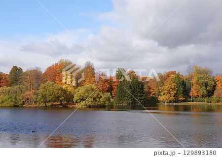 October autumn park in Russia, trees with yellow leaves and reflection in the lake, Catherine Park, Leningrad region. Beautiful autumn landscape in the park, seasons, travel through beautiful forests October autumn park in Russia, trees with yellow leaves and reflection in the lake, Catherine Park, Leningrad region. Beautiful autumn landscape in the park, seasons, travel through beautiful forests 129893180