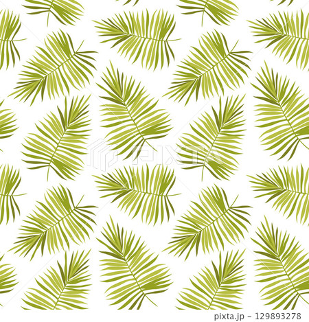 Vector hand-drawn seamless pattern with green palm leaves on white background . Vector hand-drawn seamless pattern with green palm leaves on white background . 129893278