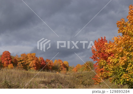 Autumn park in September on a rainy day, path with red maple leaves and dark clouds, background. Beautiful bright natural landscape in the park, seasons, golden autumn season, invitation for a walk, Autumn park in September on a rainy day, path with red maple leaves and dark clouds, background. Beautiful bright natural landscape in the park, seasons, golden autumn season, invitation for a walk, 129893284